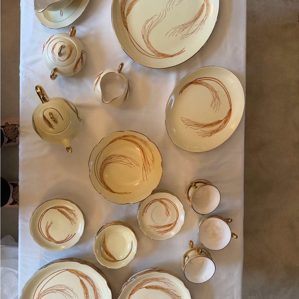 Elegant Cream and Gold Dinnerware Set